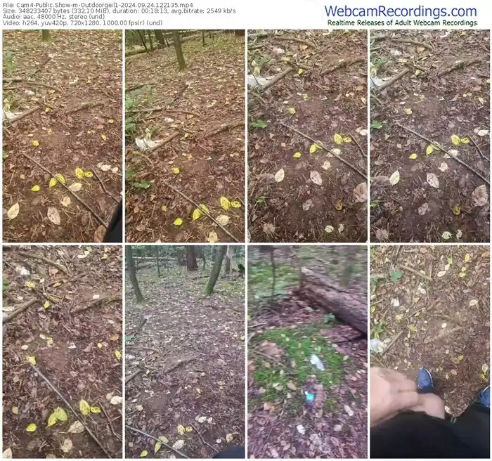 cam4-outdoorgeil1-09-24-2024-12-21-35