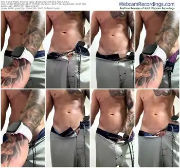 cam4-gato_dtado-09-26-2024-17-20-10