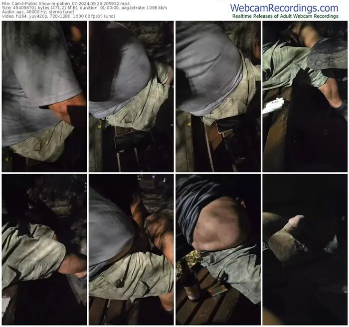 cam4-pollen_07-09-26-2024-20-59-32