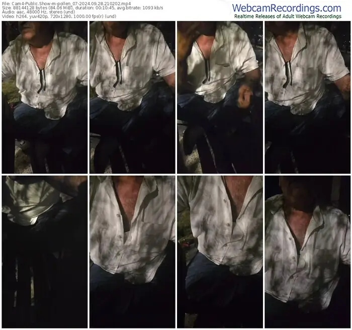cam4-pollen_07-09-28-2024-21-02-02