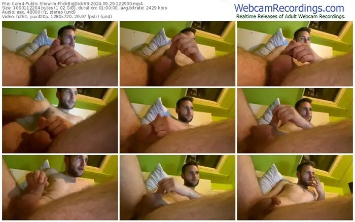 cam4-flickbigdick68-09-29-2024-22-29-00