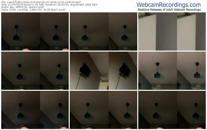 cam4-pollon29_cm-10-01-2024-10-49-33