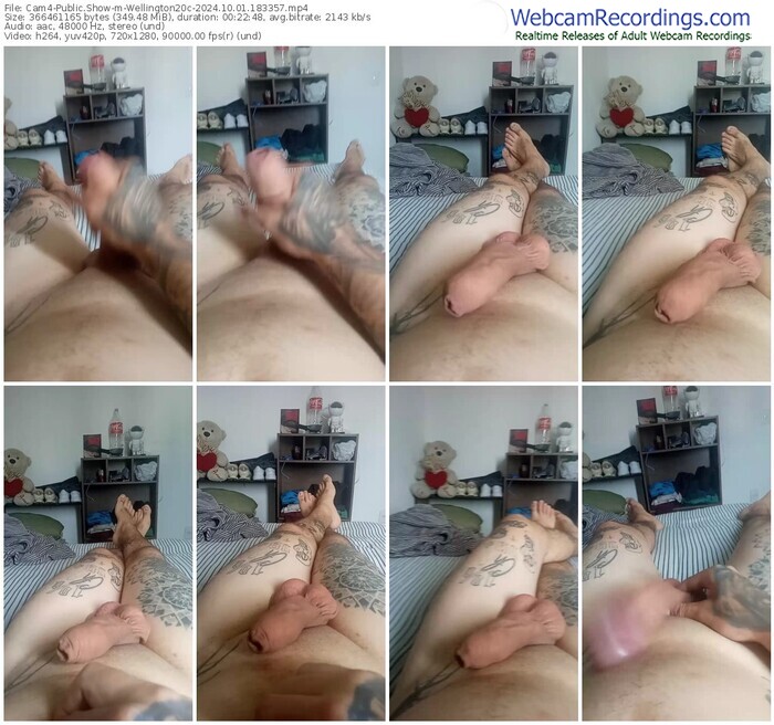 cam4-wellington20c-10-01-2024-18-33-57