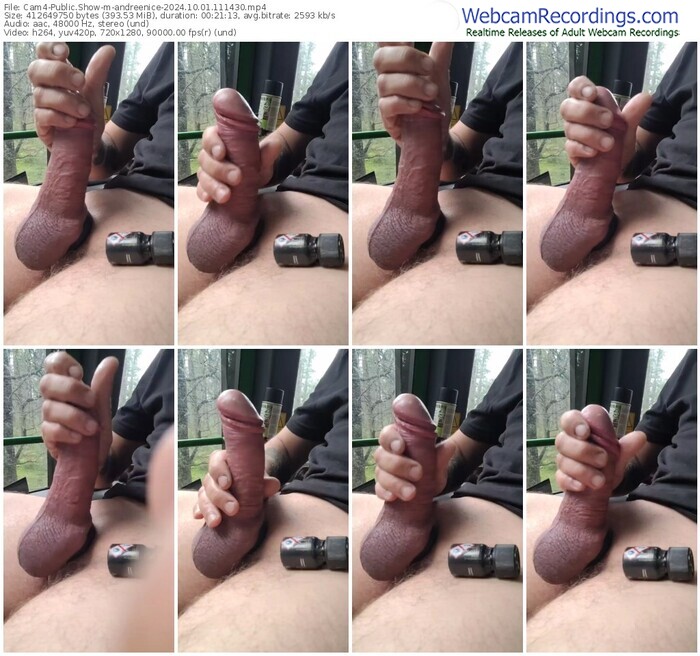 cam4-andreenice-10-01-2024-11-14-30