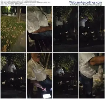 cam4-pollen_07-10-02-2024-20-31-12