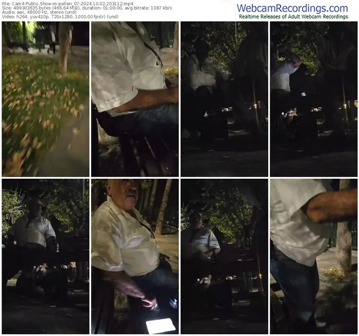 cam4-pollen_07-10-02-2024-20-31-12