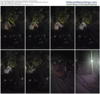 cam4-pollen_07-10-02-2024-21-31-56