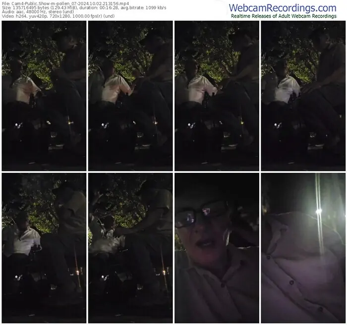 cam4-pollen_07-10-02-2024-21-31-56