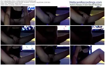 cam4-tlt83-10-05-2024-04-04-46