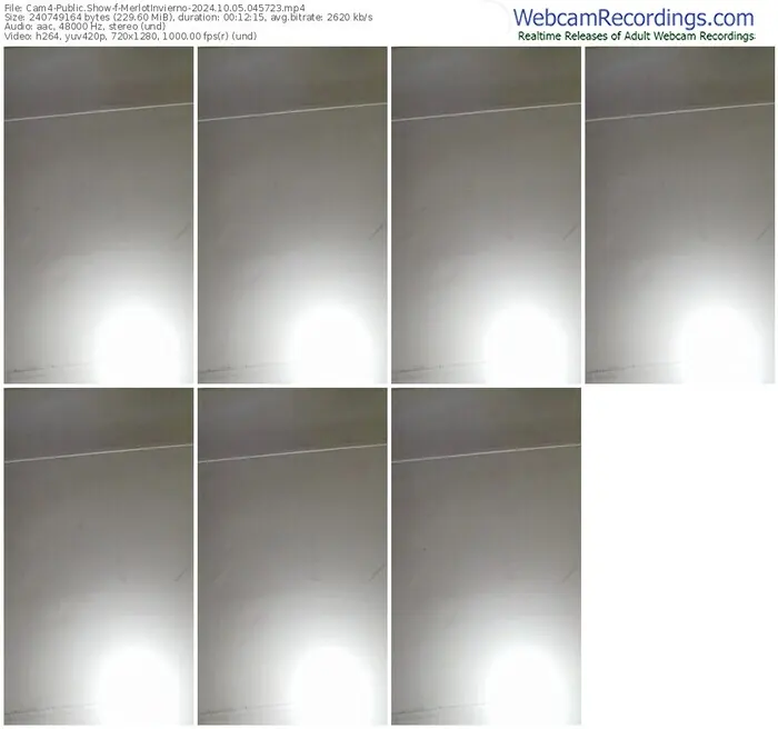 cam4-merlotinvierno-10-05-2024-04-57-23