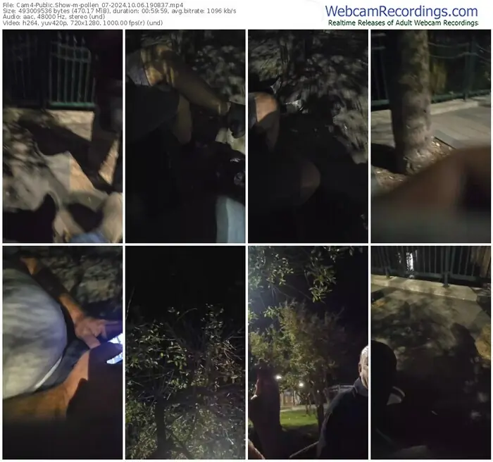 cam4-pollen_07-10-06-2024-19-08-37