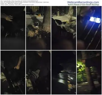 cam4-pollen_07-10-06-2024-20-09-00