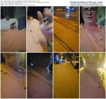 cam4-pollen_07-10-06-2024-21-44-34