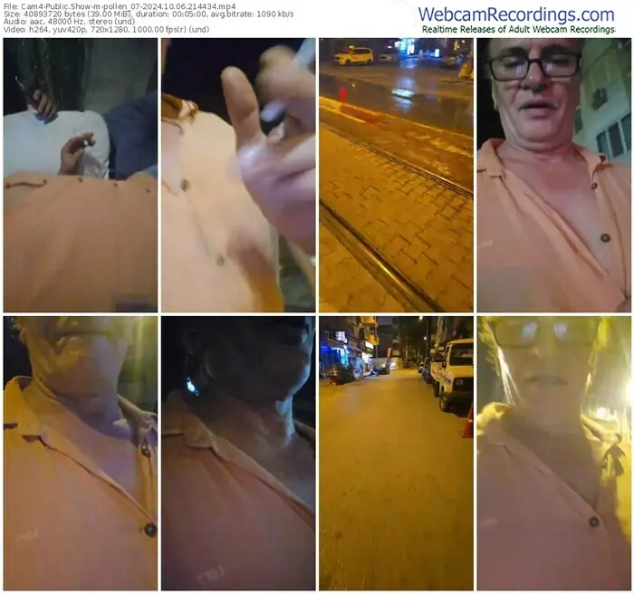 cam4-pollen_07-10-06-2024-21-44-34