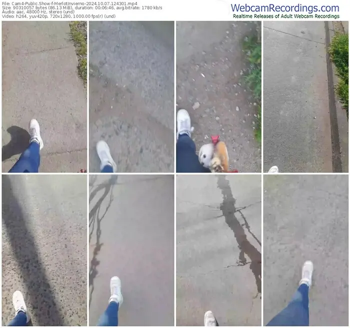 cam4-merlotinvierno-10-07-2024-12-43-01