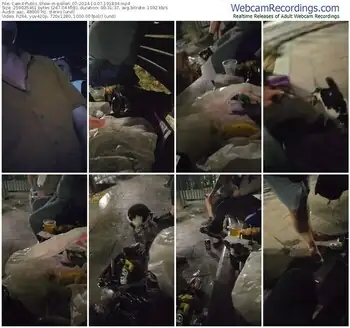 cam4-pollen_07-10-07-2024-19-18-34