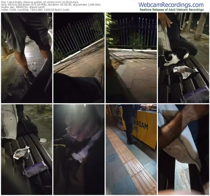 cam4-pollen_07-10-07-2024-21-35-18