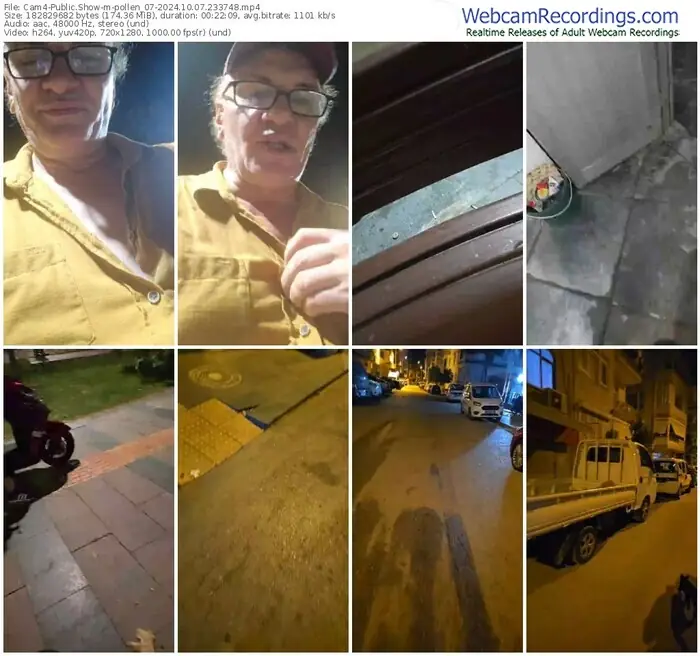 cam4-pollen_07-10-07-2024-23-37-48