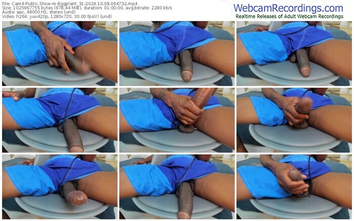 cam4-eggplant_31-10-08-2024-06-47-32