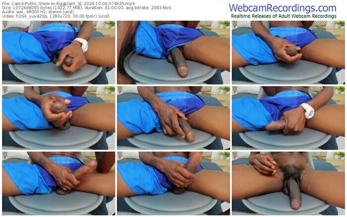cam4-eggplant_31-10-08-2024-07-48-35