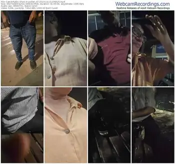 cam4-pollen_07-10-10-2024-19-50-25