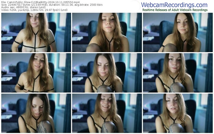 cam4-22badkitty-10-11-2024-09-55-50