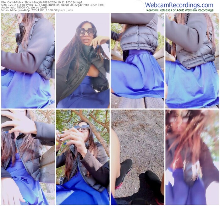 cam4-fragile7883-10-11-2024-10-56-24