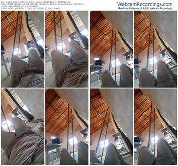 cam4-ribeirosiebes-10-11-2024-15-43-03