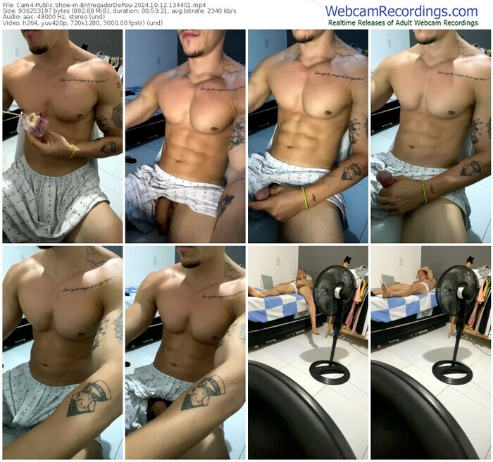 cam4-entregadordepau-10-12-2024-13-44-01