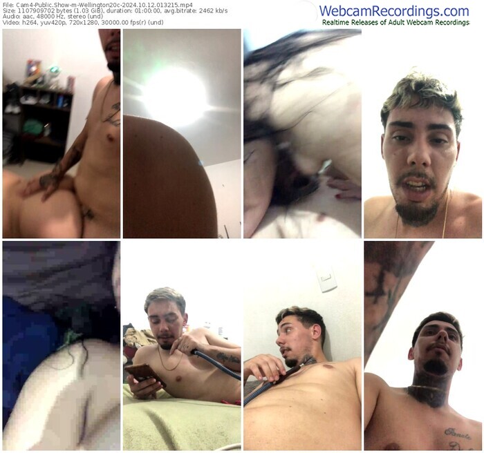 cam4-wellington20c-10-12-2024-01-32-15