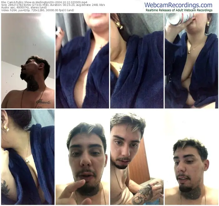 cam4-wellington20c-10-12-2024-02-33-03