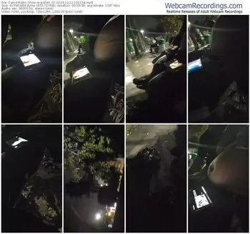 cam4-pollen_07-10-12-2024-19-11-58