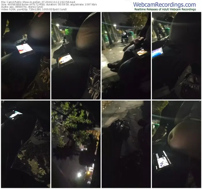 cam4-pollen_07-10-12-2024-19-11-58