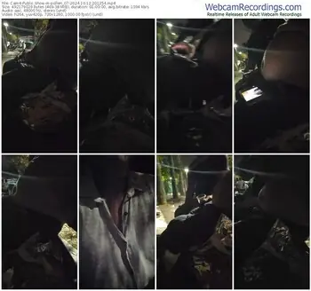 cam4-pollen_07-10-12-2024-20-12-54