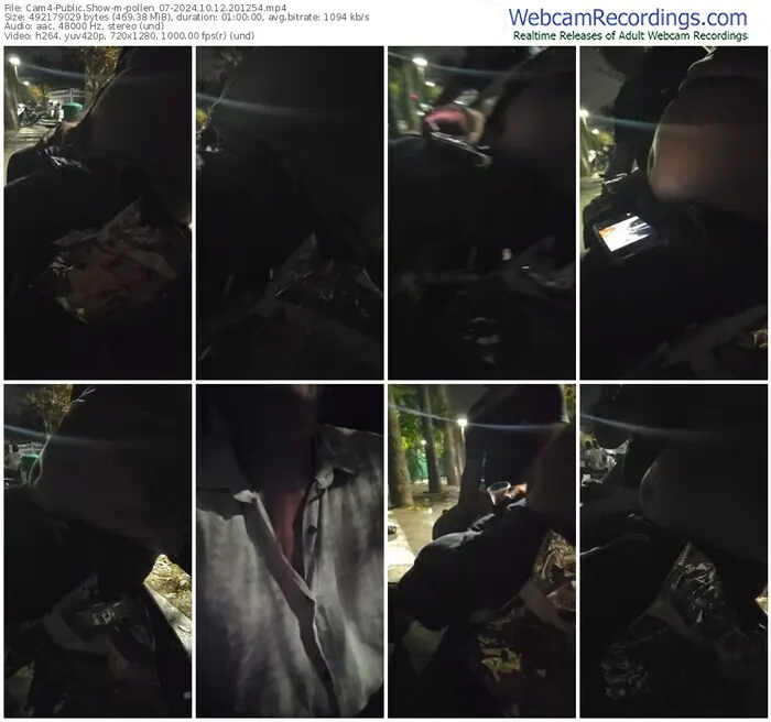 cam4-pollen_07-10-12-2024-20-12-54