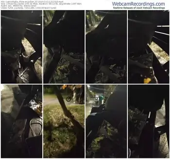 cam4-pollen_07-10-12-2024-21-13-23