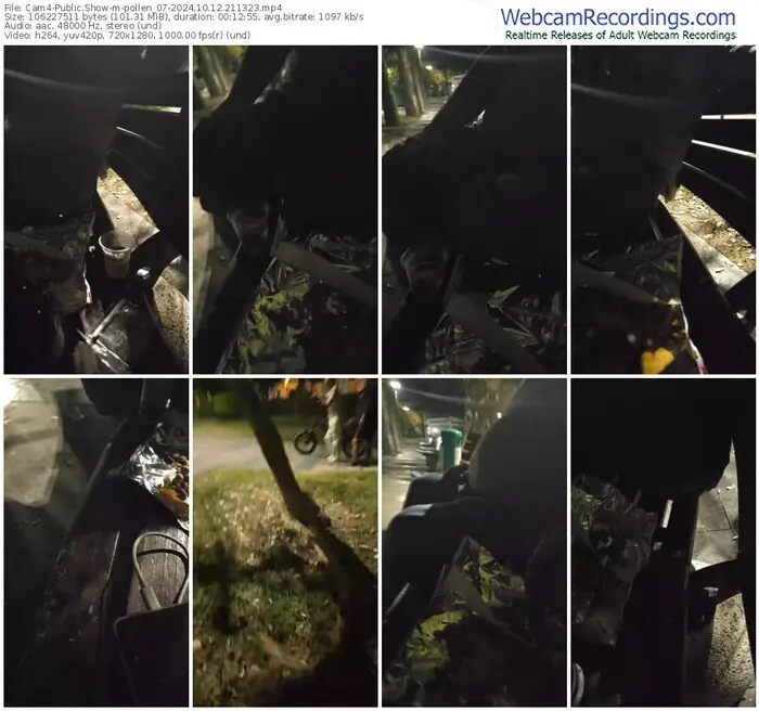 cam4-pollen_07-10-12-2024-21-13-23