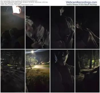 cam4-pollen_07-10-12-2024-21-46-00