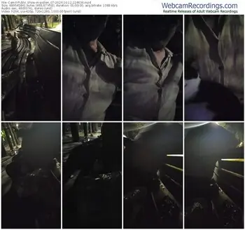 cam4-pollen_07-10-12-2024-22-46-36