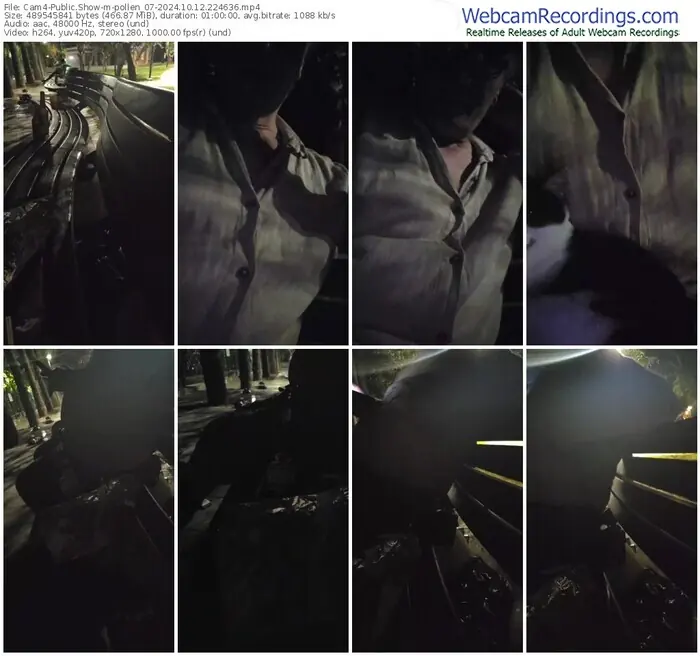 cam4-pollen_07-10-12-2024-22-46-36