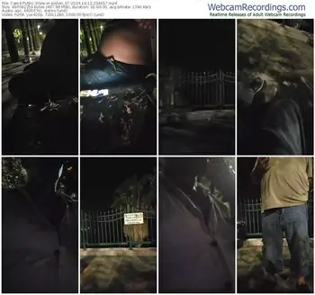 cam4-pollen_07-10-12-2024-23-46-57