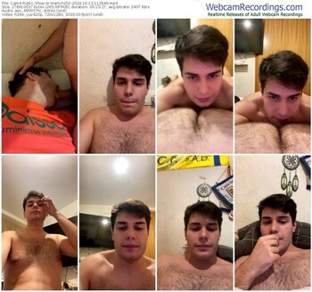 cam4-harry0250-10-13-2024-11-29-49