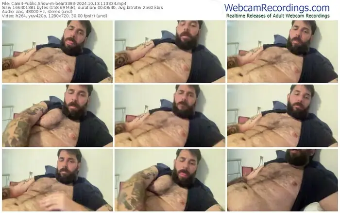 cam4-bear3393-10-13-2024-11-33-34