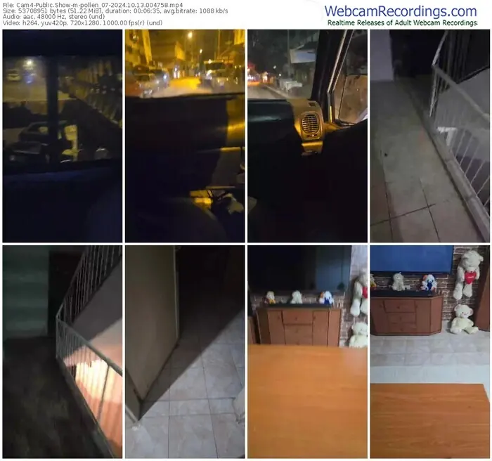 cam4-pollen_07-10-13-2024-00-47-58