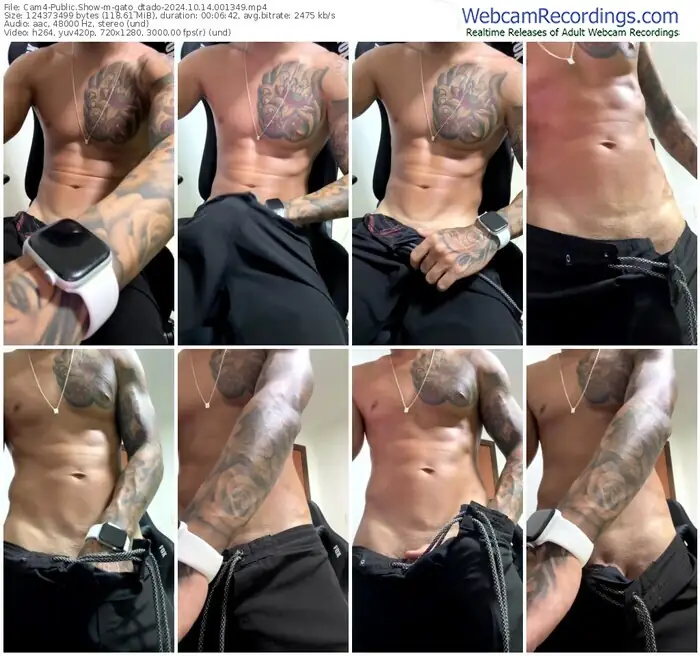 cam4-gato_dtado-10-14-2024-00-13-49