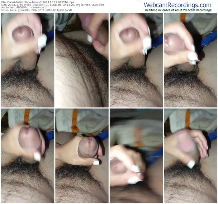 cam4-suav2-10-17-2024-09-37-46