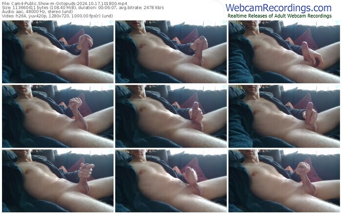 cam4-octopuds-10-17-2024-10-18-00