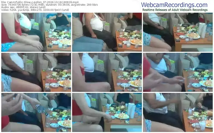 cam4-pollen_07-10-18-2024-18-06-39