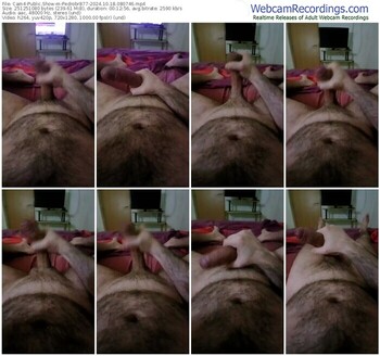 cam4-pedrobr877-10-18-2024-08-07-46