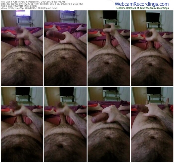 cam4-pedrobr877-10-18-2024-08-07-46